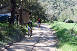 Odemira Maratona 2019